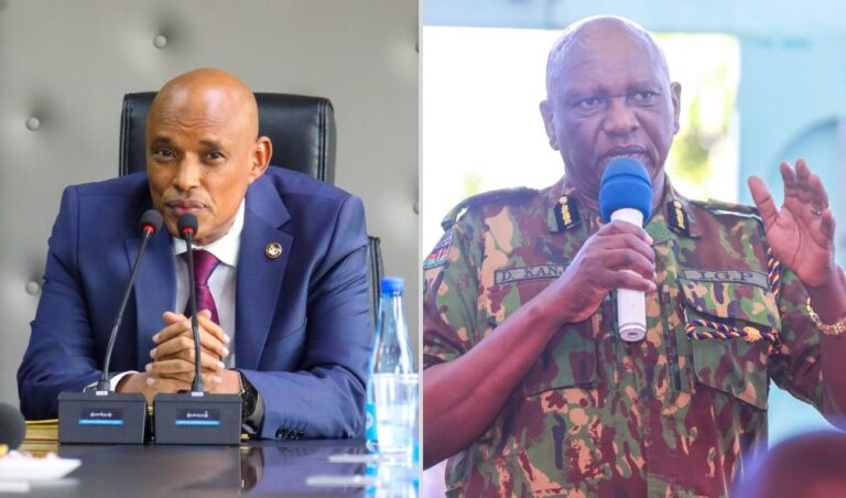 Frustrated Judge Sternly Warns IG Kanja, DCI Amin Over Missing KDF Soldier