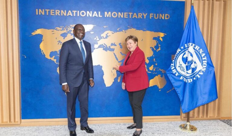 Kenya's IMF Loans Ranked Seventh Largest Globally