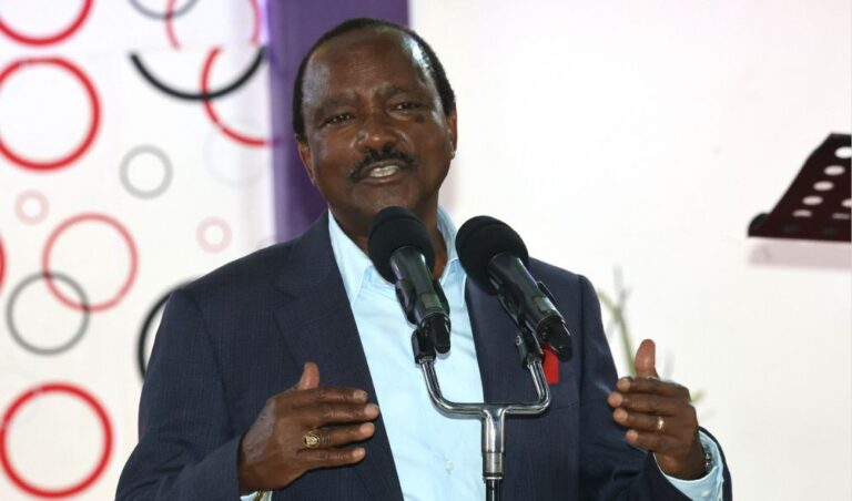 Kalonzo Vows Legal Action Against Ruto's Safaricom Share Sale
