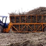 Agriculture PS Ordered To Provide Sugar Company Lease Records