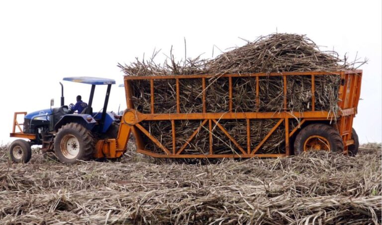 Agriculture PS Ordered To Provide Sugar Company Lease Records