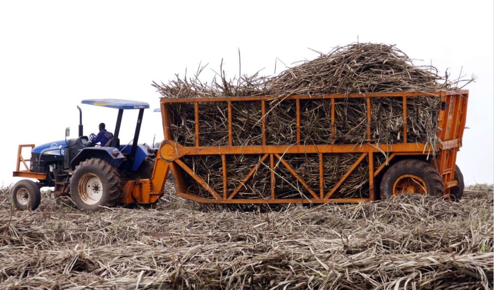 Agriculture PS Ordered To Provide Sugar Company Lease Records