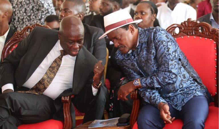 "I'll Rally 7 Million Mt Kenya Votes For Kalonzo!" - Gachagua Vows