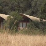 NEMA Defends Ritz Carlton Mara Hotel Despite Public Uproar