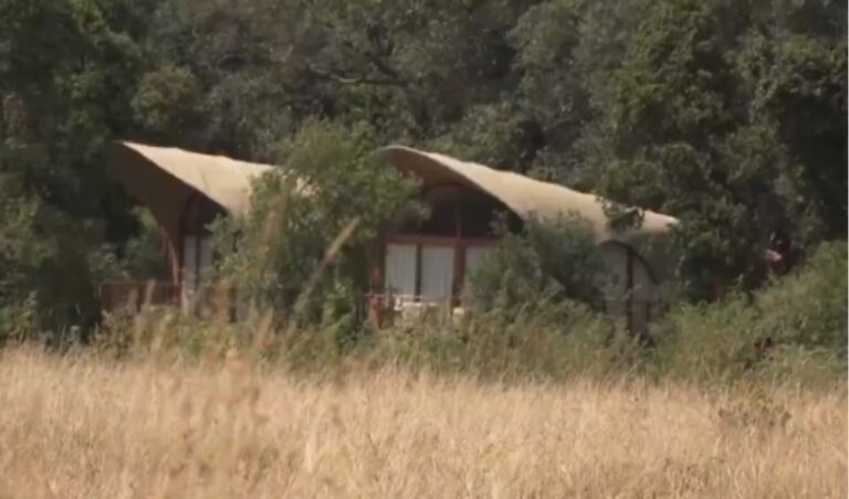 NEMA Defends Ritz Carlton Mara Hotel Despite Public Uproar