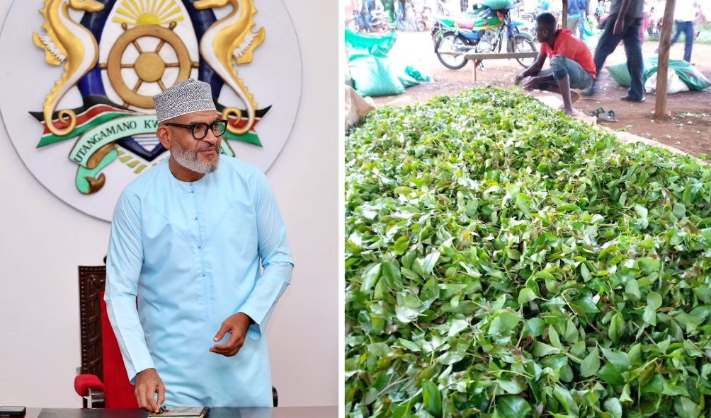 "Classify Muguka As A Harmful Drug!" - Mombasa Governor
