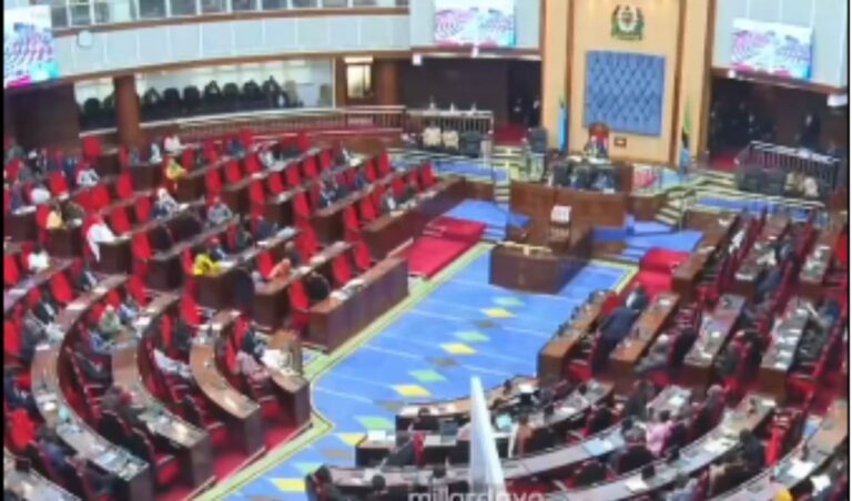 Drama As Tanzanian MPs Take English Proficiency Tests