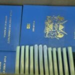 Gov't Breaks Silence On Passport Shortage, Implements New Measures