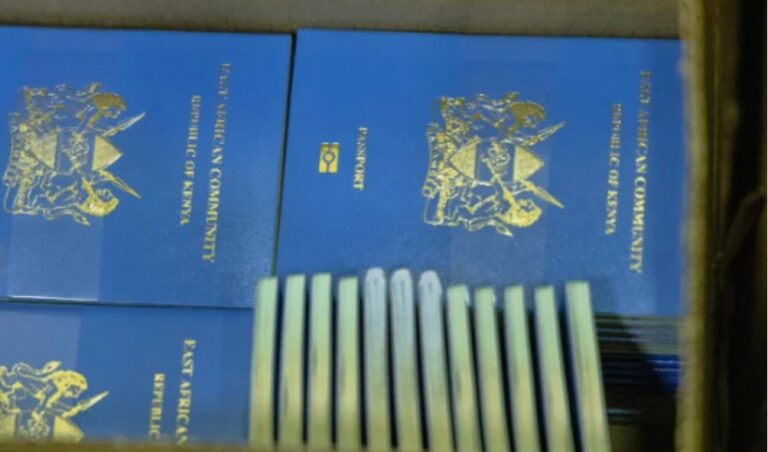 Gov't Breaks Silence On Passport Shortage, Implements New Measures