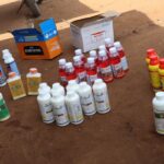 Gov't Goes After Fake Pest Control Products, Arrests 25 Individuals
