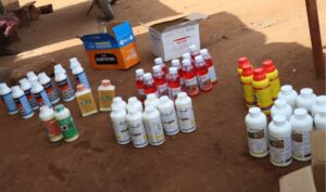 Gov't Goes After Fake Pest Control Products, Arrests 25 Individuals