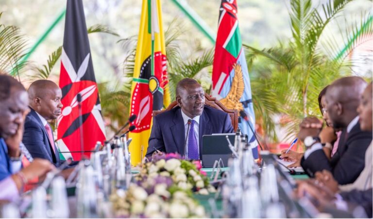 Ruto, CSs Make Fresh Appointments to State Boards And Committees