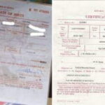 birth_certificate_2