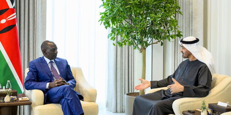 ruto-and-uae-president