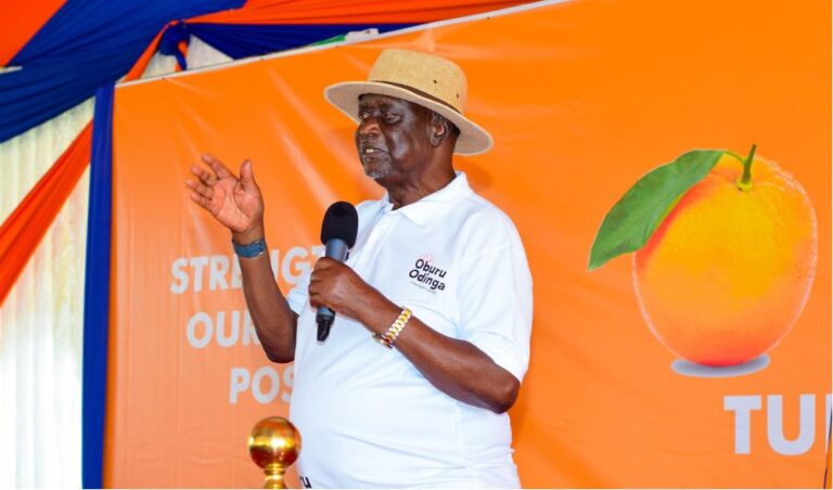 "Broad-Based Gov't Secured Economic Stability!" - ODM's Oburu Oginga Claims