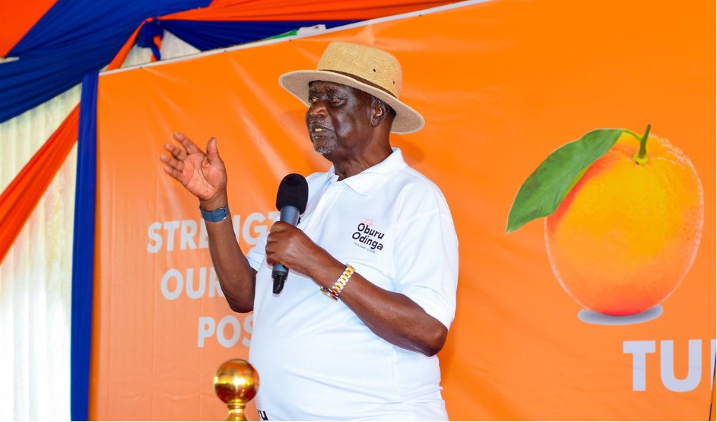 "Broad-Based Gov't Secured Economic Stability!" - ODM's Oburu Oginga Claims