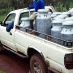 "No More Milk Hawking!" - Gov't Tells Kenyan Farmers