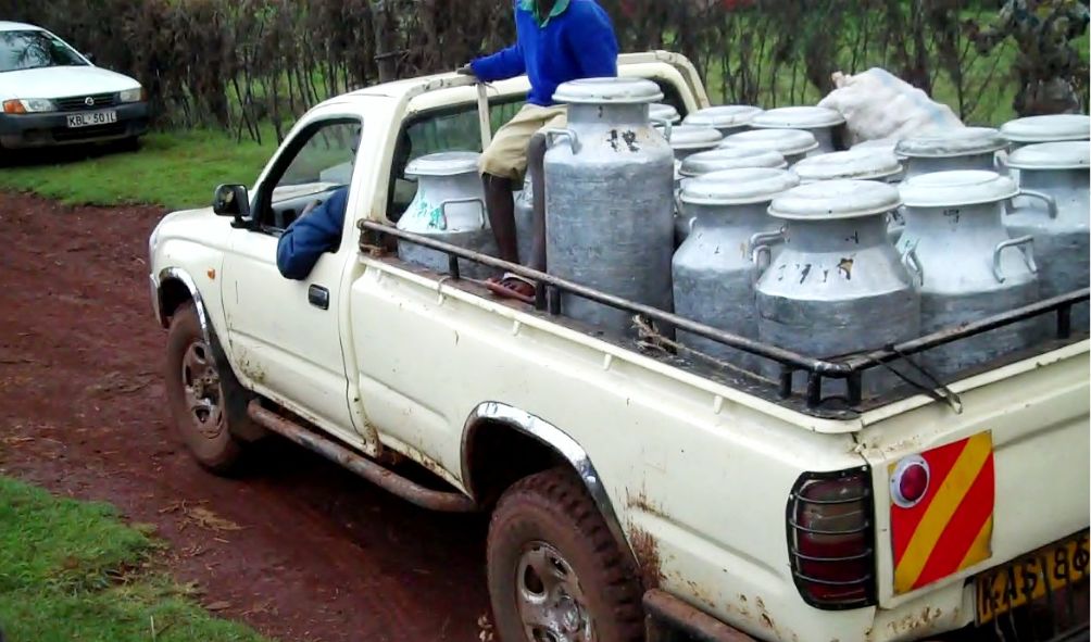 "No More Milk Hawking!" - Gov't Tells Kenyan Farmers