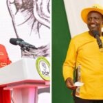 REVEALED: How Ruto's UDA Plan To Infiltrate Gachagua's DCP Party