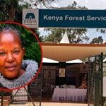 KFS Senior Official Goes Missing As Questions Arise Over Rampant Abductions