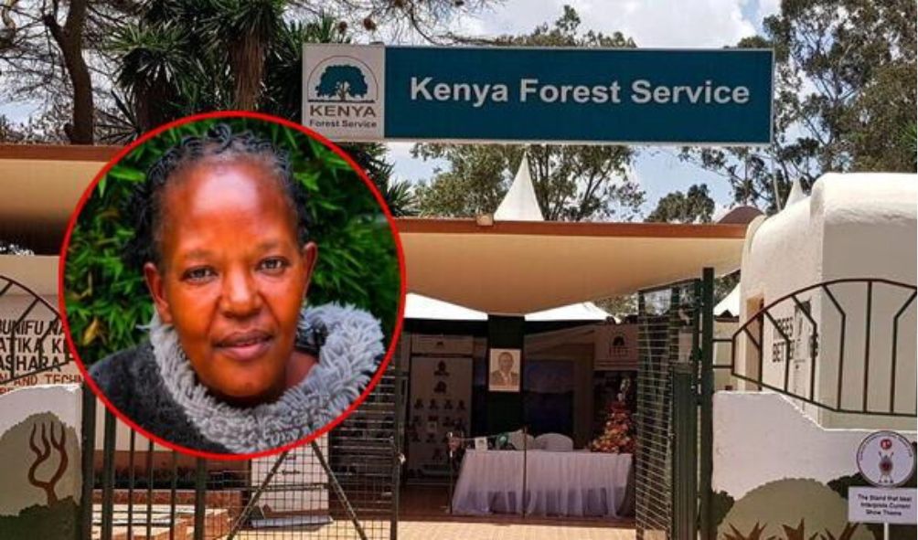 KFS Senior Official Goes Missing As Questions Arise Over Rampant Abductions
