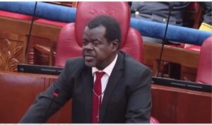 Senator Omtatah Vows To Challenge 'Balloon' 2026/2027 Budget