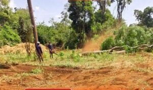 Gov't Vows To Continue With Imenti Forest Airstrip Despite Court Order