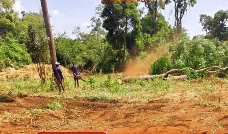 Gov't Vows To Continue With Imenti Forest Airstrip Despite Court Order