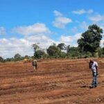 KFS Announces Next Step On Proposed Airstrip In Imenti Forest
