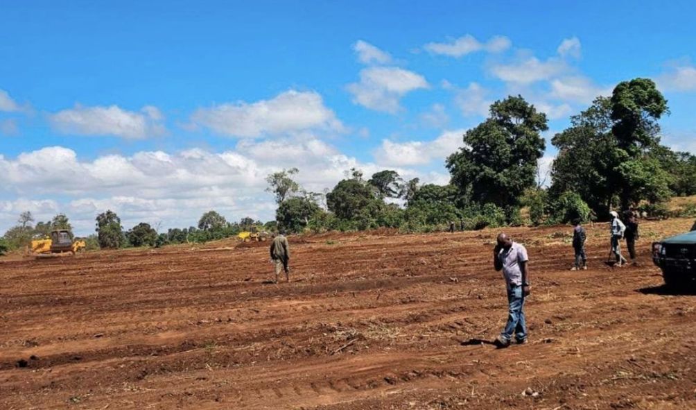 KFS Announces Next Step On Proposed Airstrip In Imenti Forest