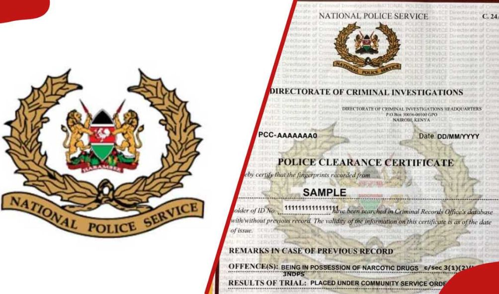 DCI Announces ONLY A Day Wait-Time For Good Conduct Certificate Processing