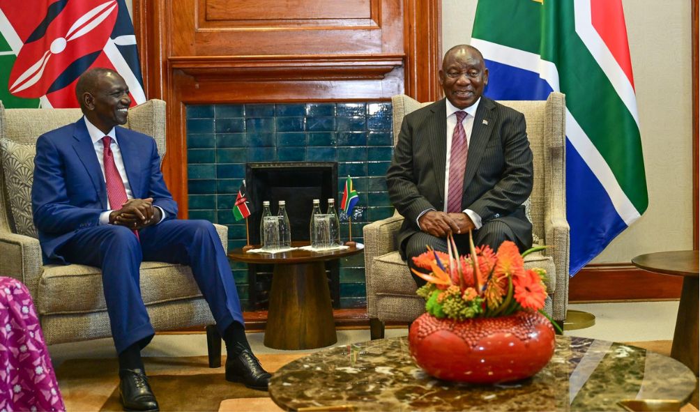 South Africa Name-Drops Ruto In Fight Against Illegal Immigration