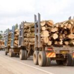 REVEALED: New Rules For Timber, Wood Product Businesses - KFS