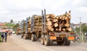 REVEALED: New Rules For Timber, Wood Product Businesses - KFS