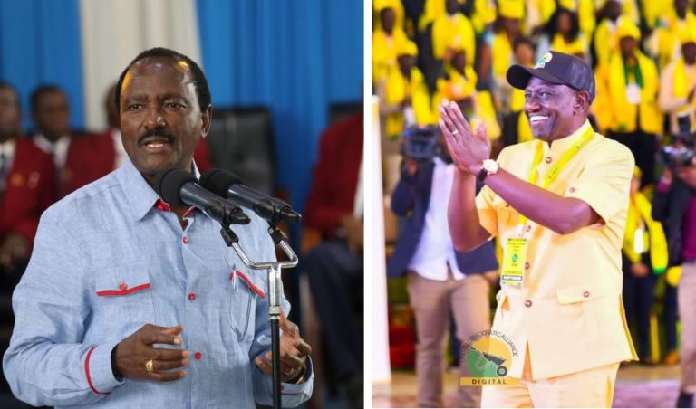 REVEALED: How UDA Plots To Challenge Kalonzo's Wiper In Strongholds