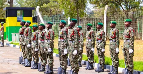 nys_recruits.jpg