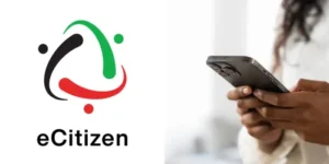 ecitizen-hand-holding-phone.jpg