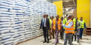 fertiliser-subsidised-1.jpg