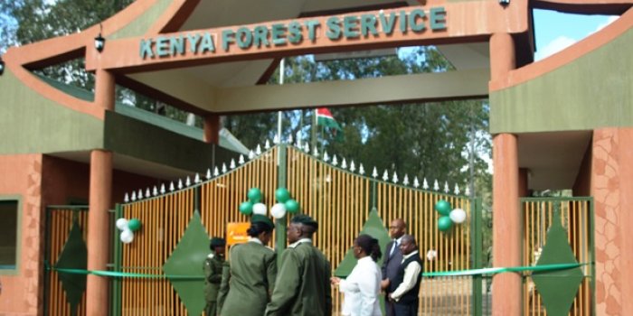 Officers20outside20the20Kenya20Forest20Service2028KFS2920gate20when20it20was20opened20in202011.JPG